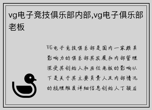 vg电子竞技俱乐部内部,vg电子俱乐部老板